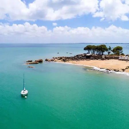 Mobil Accepte Animaux - 6 Pers. - Api-1-52-2481 Campingplatz Brem Sur Mer
